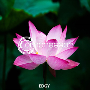 Lets Goo (Shugar House Remix)