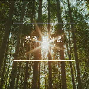 烬雪旧剑痕