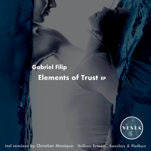 Elements of Trust (Christian Monique Remix)