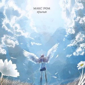 Крылья…