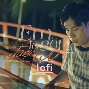 Em Đã Gặp Được Ai (Lofi Version)