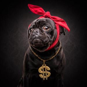 underdog
