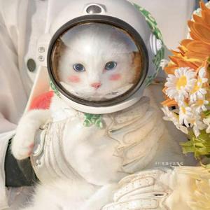 画画的Baby（翻自 姚广南）