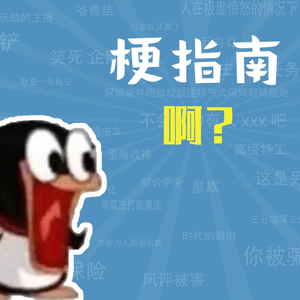 啊？是什么梗【梗指南】