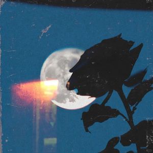 匿名星(cover 单依纯)