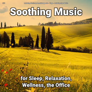 Relaxing Music for Serene Sleep