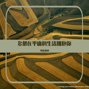 多想在平庸的生活拥抱你