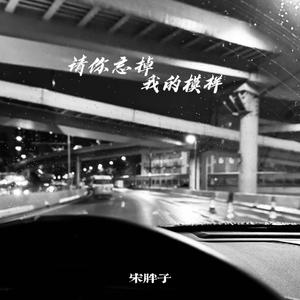 请你忘掉我的模样(宋胖子版)