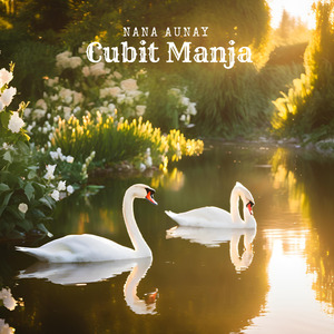 Cubit Manja