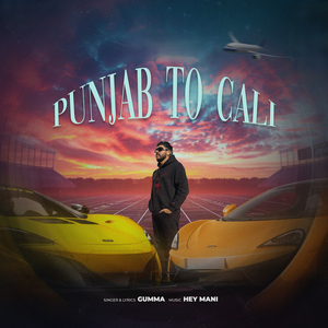 Punjab to Cali