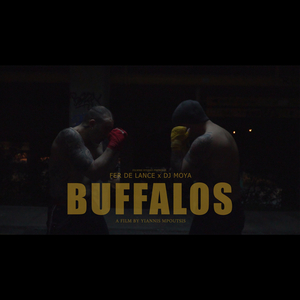 Buffalos