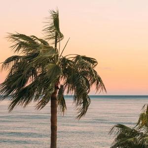 [Free]''Beach''-''African drum Beat''
