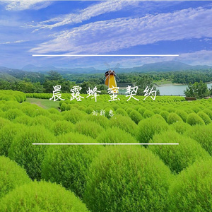 晨露蜂蜜契约