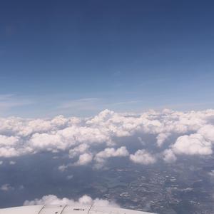 玫瑰少年（翻自：周深&GAI）