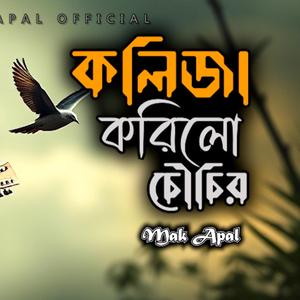 আমার অন্তরায় আমার কলিজায় (Piano Version)