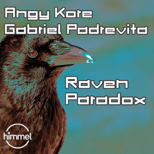 Raven Paradox (Original Mix)