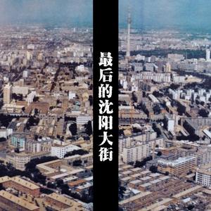 最后的沈阳大街