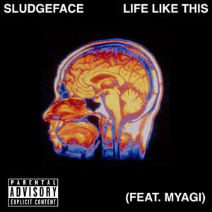 Life Like This (feat. MYAGI)
