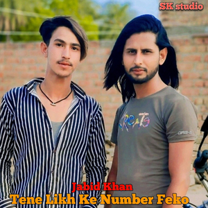 Tene Likh Ke Number Feko