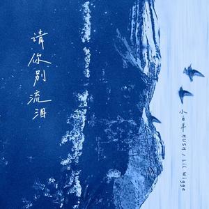 请你别流泪