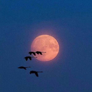 /我在哪/【FREE BEAT】