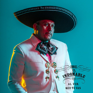 El Guanaco Cien por Ciento