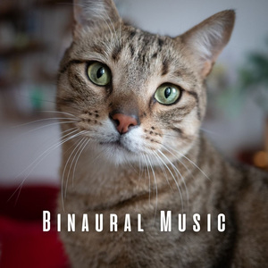 Tranquil Binaural for Cozy Cats