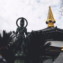 梦中一直有个想念的人
