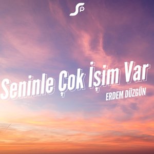 Seninle Çok İşim Var