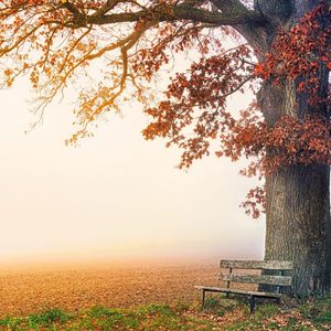 或明或暗地亮着 (5)