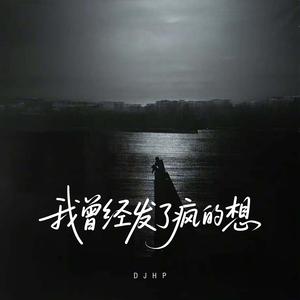 我曾经发了疯的想（DJ版）