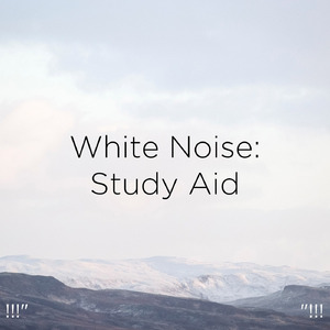 ホワイトノイズスリープ