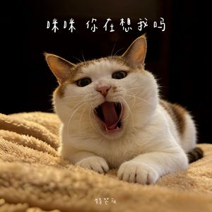 咪咪 你在等我吗-音频