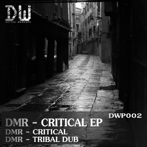 Critical (Original Mix)