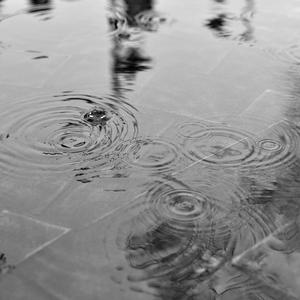 WALK IN THE RAIN(MASHAP)