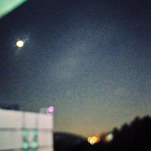 关于小熊（acoustic)（翻自 绿仔Greenie）