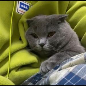 我不愿让你一个人