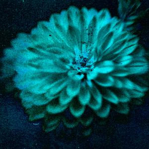 Attention (feat. Spiti)