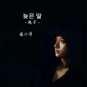늦은 말 (晚安)