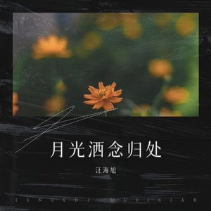 月光洒 念归处