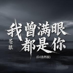 我从满眼都是你 (DJ浩然版)