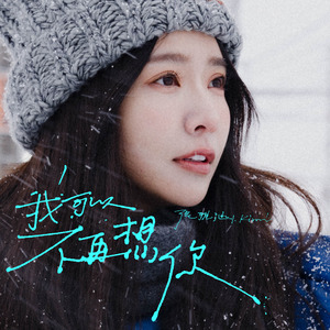 我可以不再想你