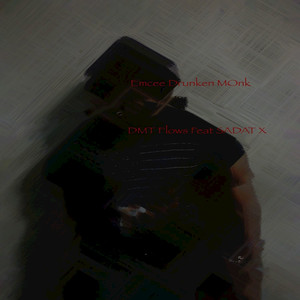 Dmt Flows (feat. Sadat X)