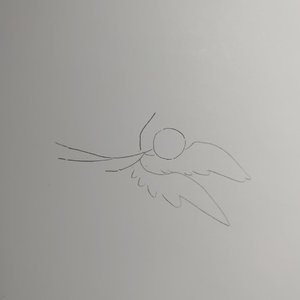 白鸟过河滩×深夜诗人（翻自 洛天依）