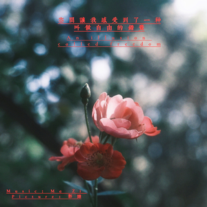 空间让我感受到了一种叫做自由的错觉