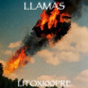 LLAMAS