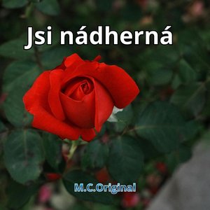 Jsi nádherná