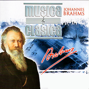 Ihr Habt Nun Traurigkeit, Opus 45