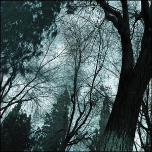 Ese vato no te queda