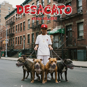 Desacato